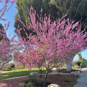 Meet your Posher, Natallia